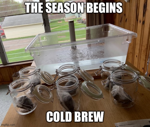 Cold Brew | THE SEASON BEGINS; COLD BREW | image tagged in cold brew | made w/ Imgflip meme maker
