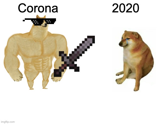 Corona vs 2020 | Corona; 2020 | image tagged in memes,buff doge vs cheems | made w/ Imgflip meme maker