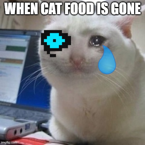 Crying cat | WHEN CAT FOOD IS GONE | image tagged in crying cat | made w/ Imgflip meme maker