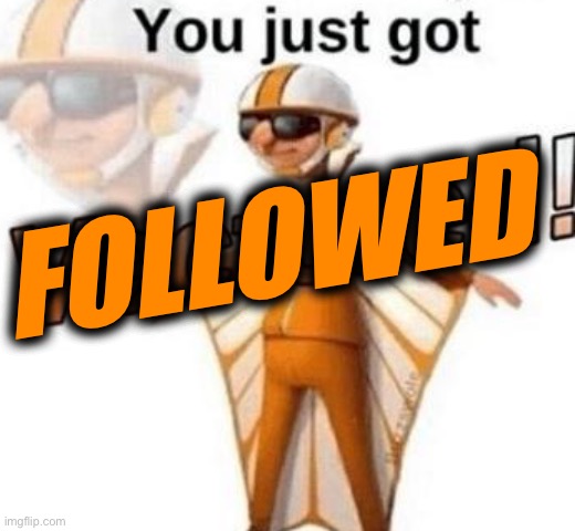 You just got vectored | FOLLOWED | image tagged in you just got vectored | made w/ Imgflip meme maker