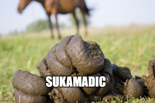 Pile O' horse shit | SUKAMADIC | image tagged in pile o' horse shit | made w/ Imgflip meme maker