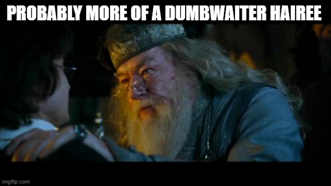 Angry Dumbledore Meme | PROBABLY MORE OF A DUMBWAITER HAIREE | image tagged in memes,angry dumbledore | made w/ Imgflip meme maker