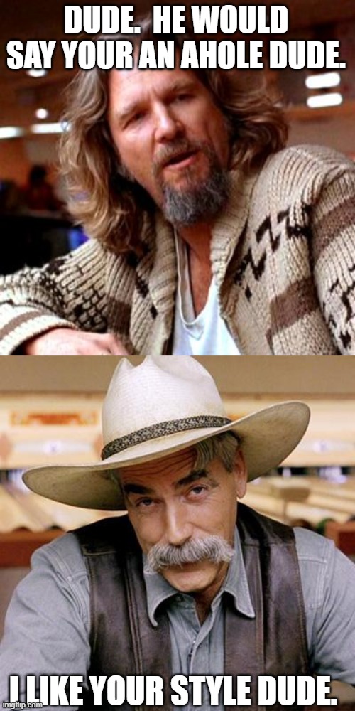 DUDE.  HE WOULD SAY YOUR AN AHOLE DUDE. I LIKE YOUR STYLE DUDE. | image tagged in memes,confused lebowski,sarcasm cowboy | made w/ Imgflip meme maker