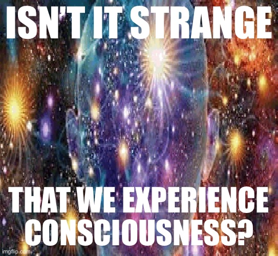 A human being is a collection of cells so self-aware that it is able to question things such as the phenomenon of its own being. | ISN’T IT STRANGE; THAT WE EXPERIENCE CONSCIOUSNESS? | image tagged in cosmic consciousness | made w/ Imgflip meme maker