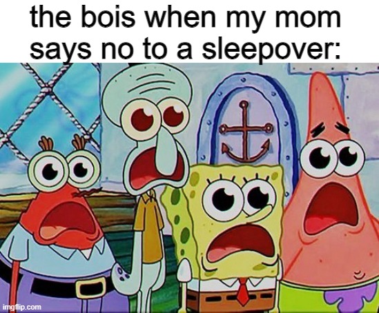 nooooooooo!!!!! | the bois when my mom says no to a sleepover: | image tagged in spongebob and the gang breathing | made w/ Imgflip meme maker