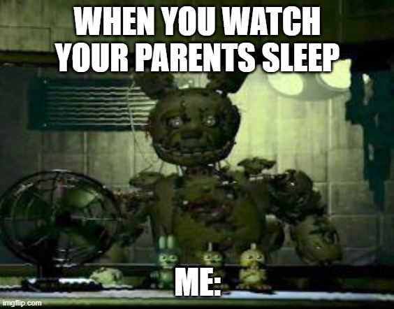 when you watch your parents sleep | WHEN YOU WATCH YOUR PARENTS SLEEP; ME: | image tagged in fnaf springtrap in window | made w/ Imgflip meme maker