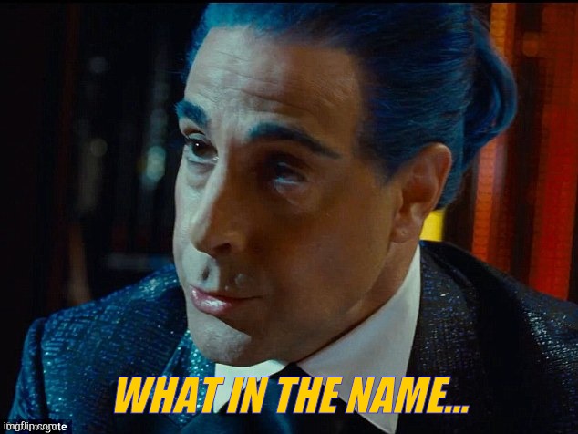 Hunger Games - Caesar Flickerman/S Tucci) "What are you saying h | WHAT IN THE NAME... | image tagged in hunger games - caesar flickerman/s tucci what are you saying h | made w/ Imgflip meme maker