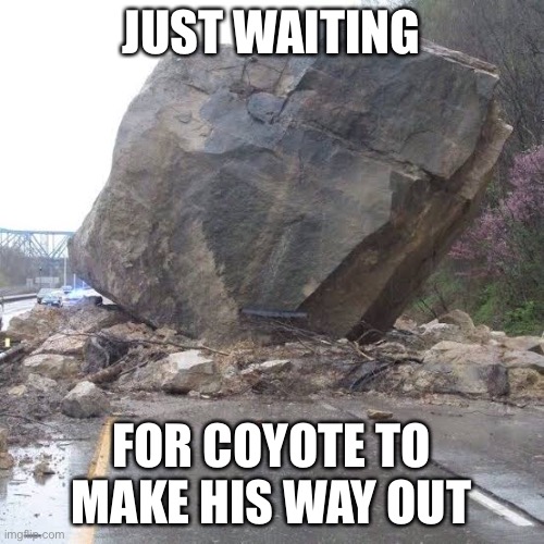 road runner irl | JUST WAITING; FOR COYOTE TO MAKE HIS WAY OUT | image tagged in coyote,wile e coyote,road runner,cartoon,boulder,rock | made w/ Imgflip meme maker