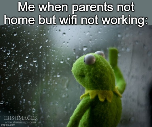 . | Me when parents not home but wifi not working: | image tagged in kermit window | made w/ Imgflip meme maker