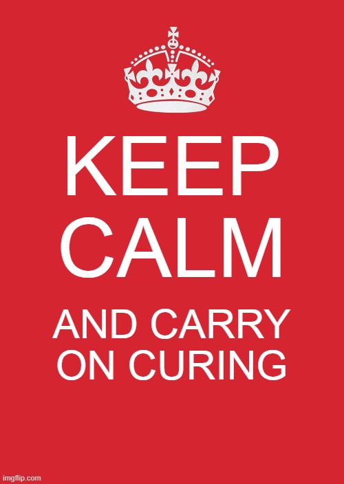 Keep Calm And Carry On Red Meme | KEEP CALM; AND CARRY ON CURING | image tagged in memes,keep calm and carry on red | made w/ Imgflip meme maker