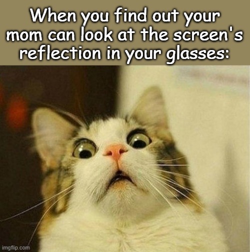 . | When you find out your mom can look at the screen's reflection in your glasses: | image tagged in memes,scared cat | made w/ Imgflip meme maker