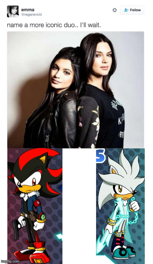 NO BODY beats them. | image tagged in name a more iconic duo,shadow the hedgehog,silver the hedgehog | made w/ Imgflip meme maker