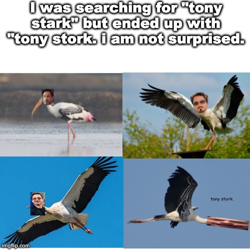 And I.....Am........TONY STORK | I was searching for "tony stark" but ended up with "tony stork. i am not surprised. | image tagged in memes,blank transparent square,tony stork,barney will eat all of your delectable biscuits,dank memes,i am iron man | made w/ Imgflip meme maker