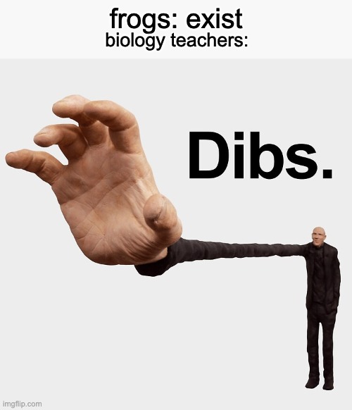 d   i    b   s | frogs: exist; biology teachers: | image tagged in dibs,biology,frog,teacher,teachers | made w/ Imgflip meme maker
