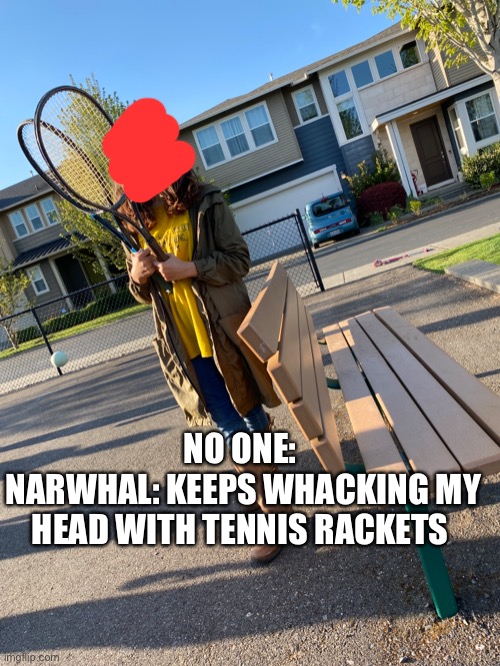 NO ONE: 
NARWHAL: KEEPS WHACKING MY HEAD WITH TENNIS RACKETS | made w/ Imgflip meme maker
