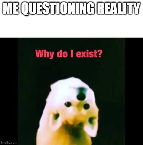 why do i exist | ME QUESTIONING REALITY | image tagged in why do i exist,depression | made w/ Imgflip meme maker