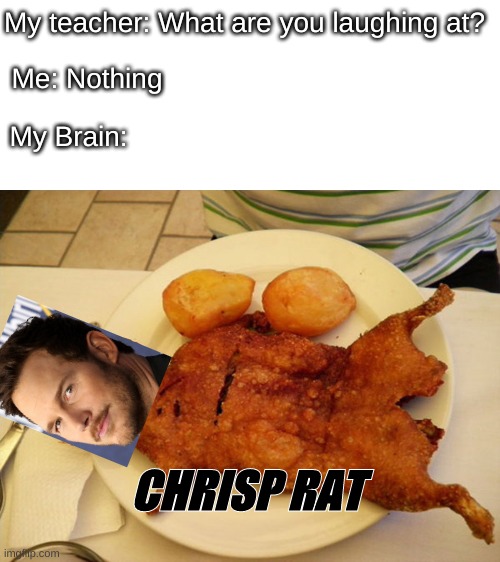 Chris Pratt or Crisp Rat | My teacher: What are you laughing at? Me: Nothing; My Brain:; CHRISP RAT | image tagged in blank white template | made w/ Imgflip meme maker