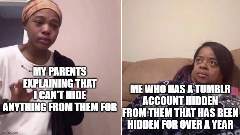 Me explaining to my mom | MY PARENTS EXPLAINING THAT I CAN'T HIDE ANYTHING FROM THEM FOR; ME WHO HAS A TUMBLR ACCOUNT HIDDEN FROM THEM THAT HAS BEEN HIDDEN FOR OVER A YEAR | image tagged in me explaining to my mom | made w/ Imgflip meme maker
