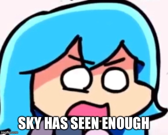 High Quality Sky has seen enough Blank Meme Template