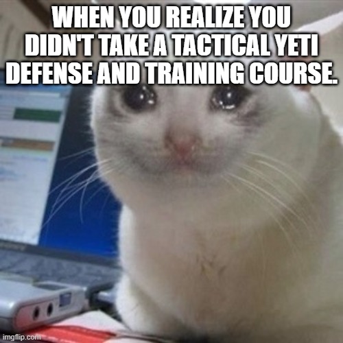 Crying cat | WHEN YOU REALIZE YOU DIDN'T TAKE A TACTICAL YETI DEFENSE AND TRAINING COURSE. | image tagged in crying cat | made w/ Imgflip meme maker