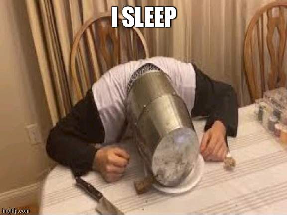 sleeping crusader | I SLEEP | image tagged in sleeping crusader | made w/ Imgflip meme maker