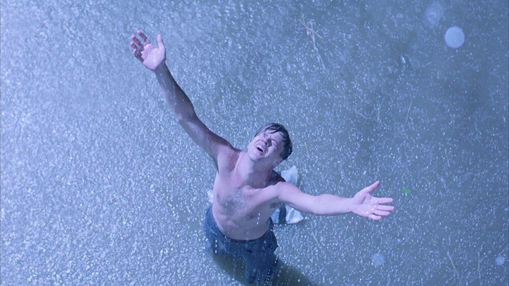shawshank Blank Meme Template