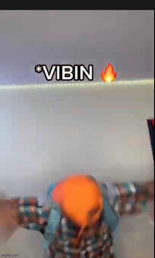 Vibin | image tagged in vibin | made w/ Imgflip meme maker