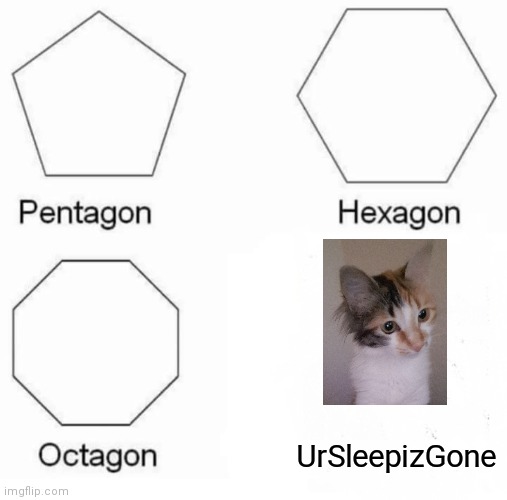 This is a pic of my cat :D | UrSleepizGone | image tagged in memes,pentagon hexagon octagon | made w/ Imgflip meme maker