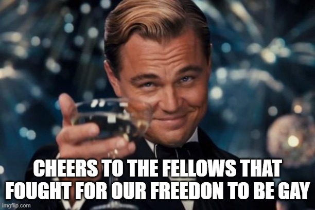 Leonardo Dicaprio Cheers Meme | CHEERS TO THE FELLOWS THAT FOUGHT FOR OUR FREEDON TO BE GAY | image tagged in memes,leonardo dicaprio cheers | made w/ Imgflip meme maker