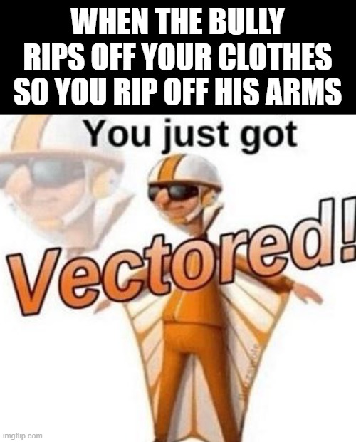 lol | WHEN THE BULLY RIPS OFF YOUR CLOTHES SO YOU RIP OFF HIS ARMS | image tagged in you just got vectored,bully | made w/ Imgflip meme maker
