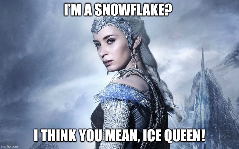 I’M A SNOWFLAKE? I THINK YOU MEAN, ICE QUEEN! | made w/ Imgflip meme maker