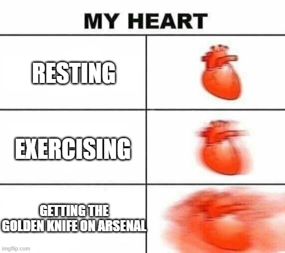 My heart blank | RESTING; EXERCISING; GETTING THE GOLDEN KNIFE ON ARSENAL | image tagged in my heart blank,arsenal,roblox,roblox memes | made w/ Imgflip meme maker