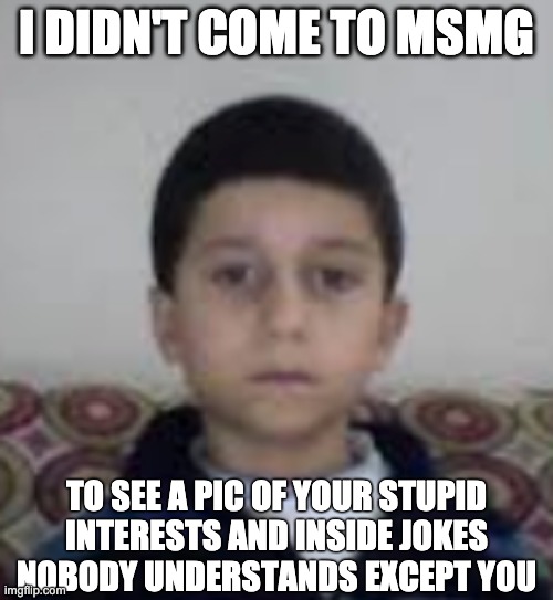 I DIDN'T COME TO MSMG; TO SEE A PIC OF YOUR STUPID INTERESTS AND INSIDE JOKES NOBODY UNDERSTANDS EXCEPT YOU | made w/ Imgflip meme maker