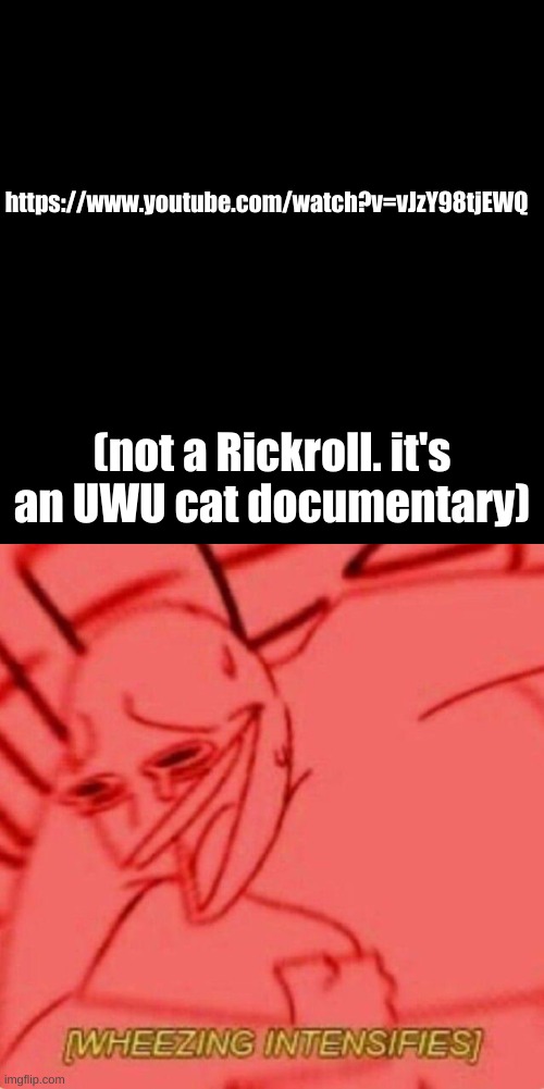 https://www.youtube.com/watch?v=vJzY98tjEWQ | https://www.youtube.com/watch?v=vJzY98tjEWQ; (not a Rickroll. it's an UWU cat documentary) | image tagged in memes,blank transparent square,wheezing intensifies | made w/ Imgflip meme maker