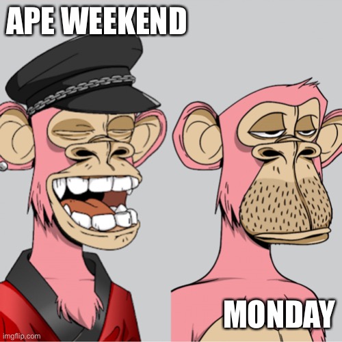 ape ha ha no | APE WEEKEND; MONDAY | image tagged in ape ha ha no | made w/ Imgflip meme maker