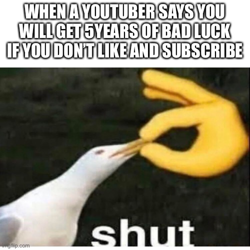 Random meme | WHEN A YOUTUBER SAYS YOU WILL GET 5YEARS OF BAD LUCK IF YOU DON’T LIKE AND SUBSCRIBE | image tagged in random tag i decided to put,another random tag i decided to put,another one,and another one,you know the drill | made w/ Imgflip meme maker
