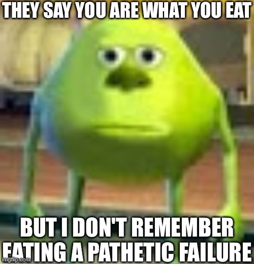 aïe | THEY SAY YOU ARE WHAT YOU EAT; BUT I DON'T REMEMBER EATING A PATHETIC FAILURE | image tagged in sully wazowski,msmg | made w/ Imgflip meme maker