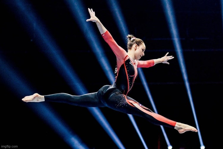 Unitard (the modest new uniform of the German gymnastics team) | image tagged in unitard,germany | made w/ Imgflip meme maker