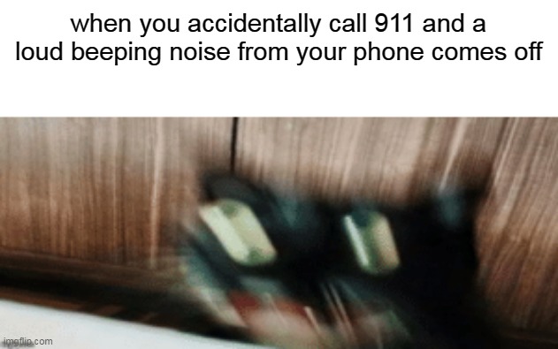 lol happened | when you accidentally call 911 and a loud beeping noise from your phone comes off | image tagged in cat screaming,accidentally call 911,oh wow are you actually reading these tags | made w/ Imgflip meme maker