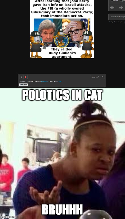 People lets start posting cat stuff in the politics stream | POLOTICS IN CAT; BRUHHH | image tagged in bruh | made w/ Imgflip meme maker