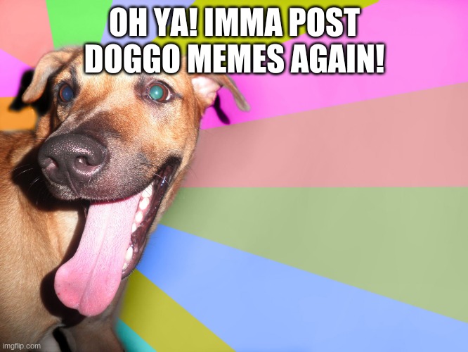 I did something good and I'm happy | OH YA! IMMA POST DOGGO MEMES AGAIN! | image tagged in i did something good and i'm happy | made w/ Imgflip meme maker