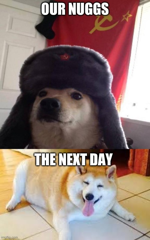 OUR NUGGS; THE NEXT DAY | image tagged in russian doge,thicc doggo | made w/ Imgflip meme maker