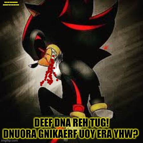 WHY ARE YOU FREAKING AROUND? GUT HER AND FEED! DEEF DNA REH TUG! DNUORA GNIKAERF UOY ERA YHW? | made w/ Imgflip meme maker