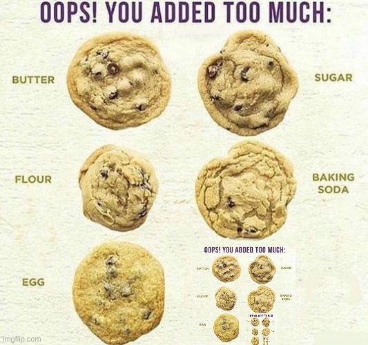 oops! you added too much: X | image tagged in oops you added too much x | made w/ Imgflip meme maker