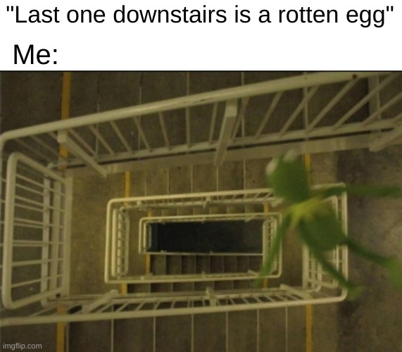 "Last one downstairs is a rotten egg"; Me: | image tagged in funny,memes,fun,kermit,kermit fall | made w/ Imgflip meme maker
