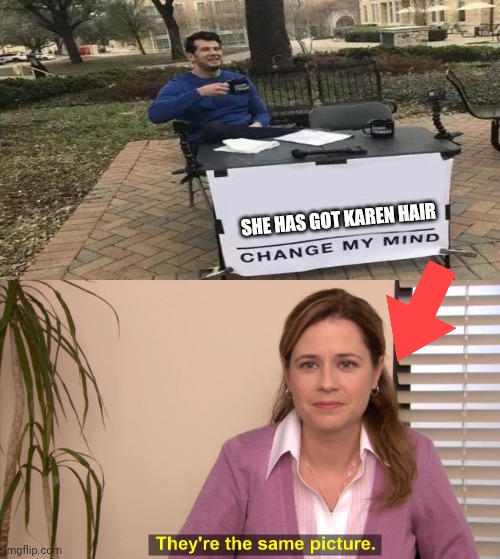 there the same image | SHE HAS GOT KAREN HAIR | image tagged in there the same image,change my mind,karen | made w/ Imgflip meme maker