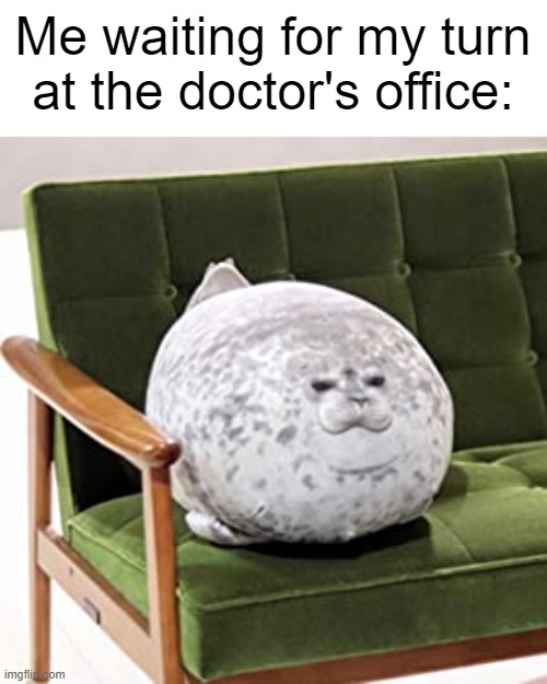 seels | Me waiting for my turn at the doctor's office: | image tagged in seals | made w/ Imgflip meme maker