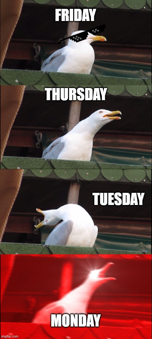 Inhaling Seagull | FRIDAY; THURSDAY; TUESDAY; MONDAY | image tagged in memes,inhaling seagull | made w/ Imgflip meme maker
