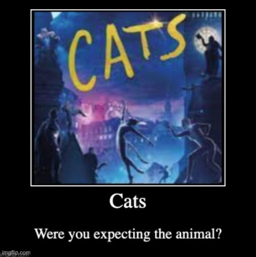 Cats | image tagged in cats | made w/ Imgflip meme maker