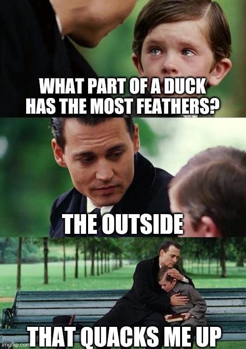 Finding Neverland | WHAT PART OF A DUCK HAS THE MOST FEATHERS? THE OUTSIDE; THAT QUACKS ME UP | image tagged in memes,finding neverland | made w/ Imgflip meme maker